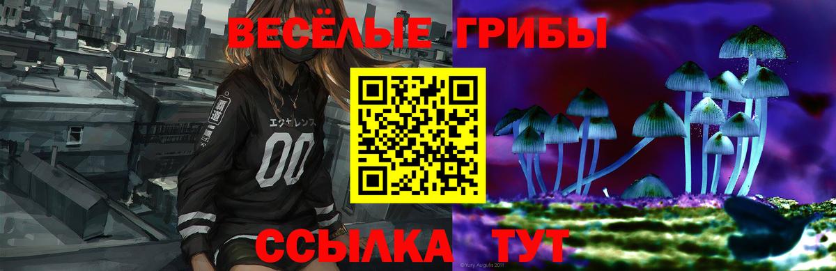 Псилоцибиновые грибы Cubensis Новотроицк